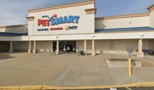 PetSmart Dog Training