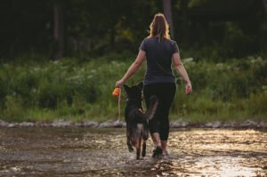 Canine Caliber LLC