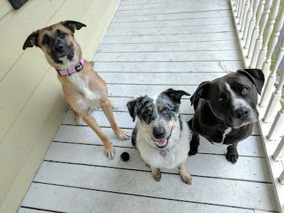Valley Dog Training (Sarah Blum)