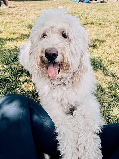 Pooch Professor inc. Bobby Gazura