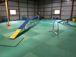 Heather’s Dog School (formerly Clever Paws Training)