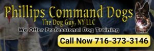 Phillips Command Dogs/The Dog Guy, NY LLC