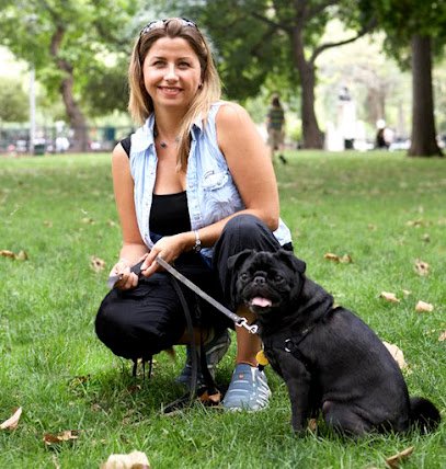 Kate Perry Dog Training + Daycare Center