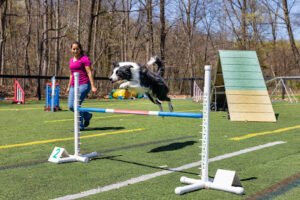 K9 Team Training