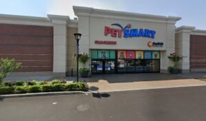 PetSmart Dog Training