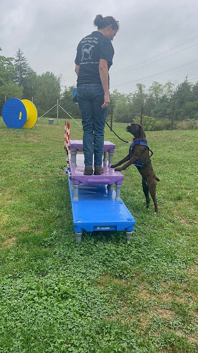 New Paltz Dog Training & Canine Adventures