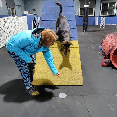 Canine Complex & Friends (Buffalo)