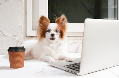 Doggie Academy