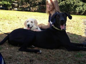 Best Friend’s Dog Training
