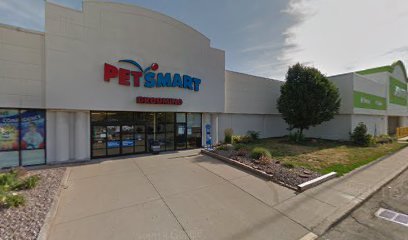 PetSmart Dog Training
