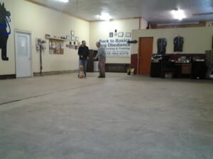 Back to Basics Dog Obedience