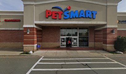 PetSmart Dog Training