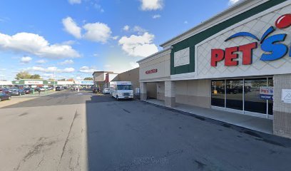 PetSmart Dog Training