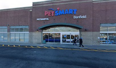 PetSmart Dog Training
