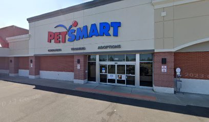 PetSmart Dog Training