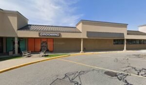 PetSmart Dog Training