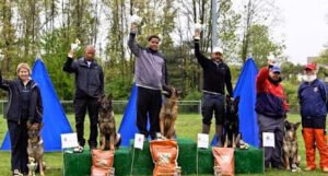 k9 Intelligence Dog Training Trainers Obedience Schools Training Classes Lessons