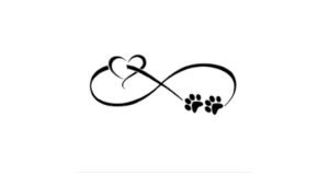 Positive K9 LLC