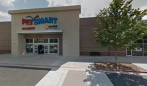 PetSmart Dog Training