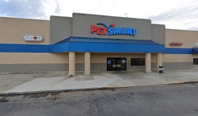 PetSmart Dog Training