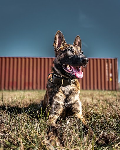 The First Family K9 Training