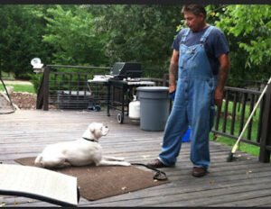 Central Carolina Canine