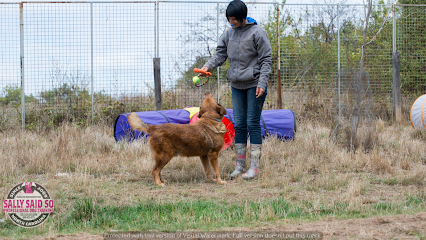 Dog Trainer Greensboro