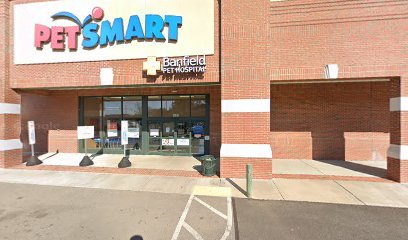 PetSmart Dog Training