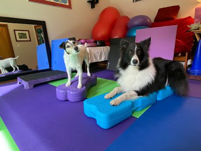Core Fit Canine Conditioning and Massage