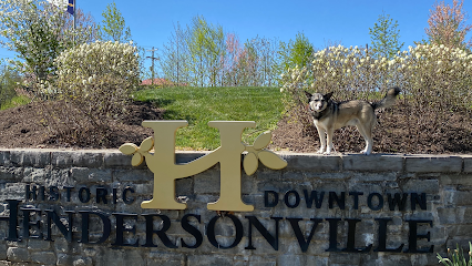 Hendersonville Dog Training