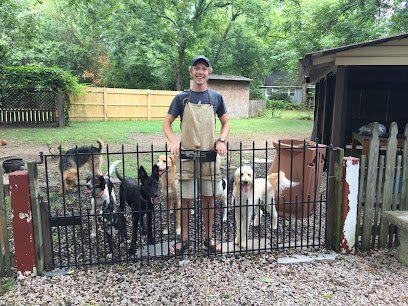 Old North Dog Training, LLC