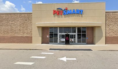 PetSmart Dog Training