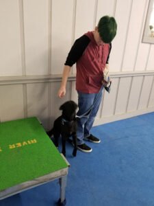 River Run Dog Training