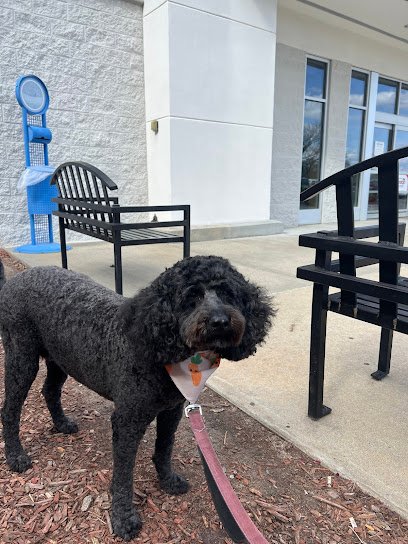 PetSmart Dog Training