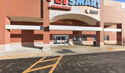 PetSmart Dog Training