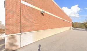 PetSmart Dog Training