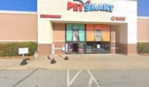 PetSmart Dog Training