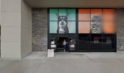 PetSmart Dog Training