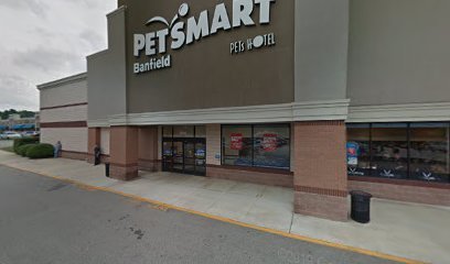 PetSmart Dog Training