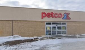 Petco Dog Training
