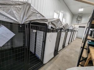 Reeds K9 Training – Minot