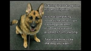 Red River North Dog Obedience Club