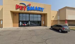 PetSmart Dog Training