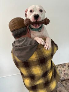 The Woofman Long Island Dog Training / Behavior