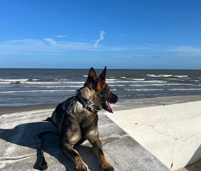 Precision K9’s