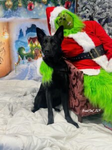 Pawz In Time ~ HeartSoul Dog Training