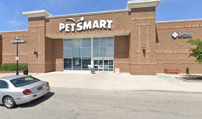 PetSmart Dog Training