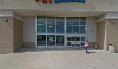 PetSmart Dog Training
