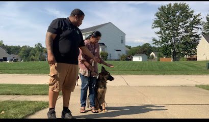 AlphA and Omega Dog Training – Cleveland