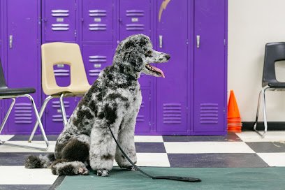 Elite K9 Training LLC